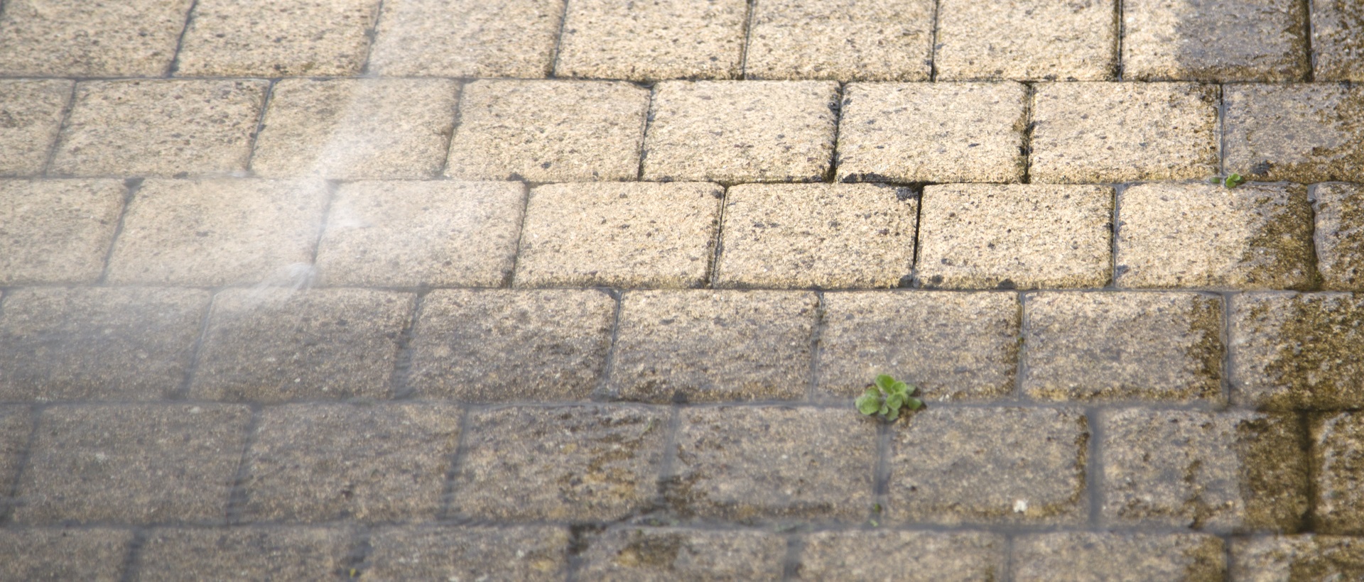 flagging and patios SW20