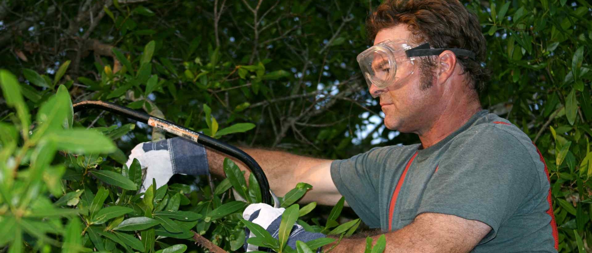 garden clearance SW20